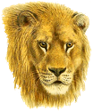 アンティーク・レトロ背景透過PNG画像素材 ライオン
