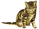 アンティーク・レトロ背景透過PNG画像素材 子猫