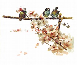 アンティーク雀と桜イラスト