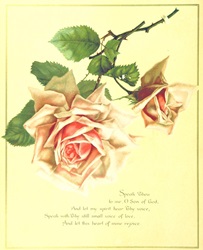 ゴシック素材桃色薔薇の花